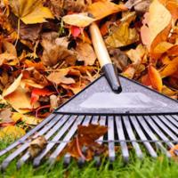 Fall Property Work Day