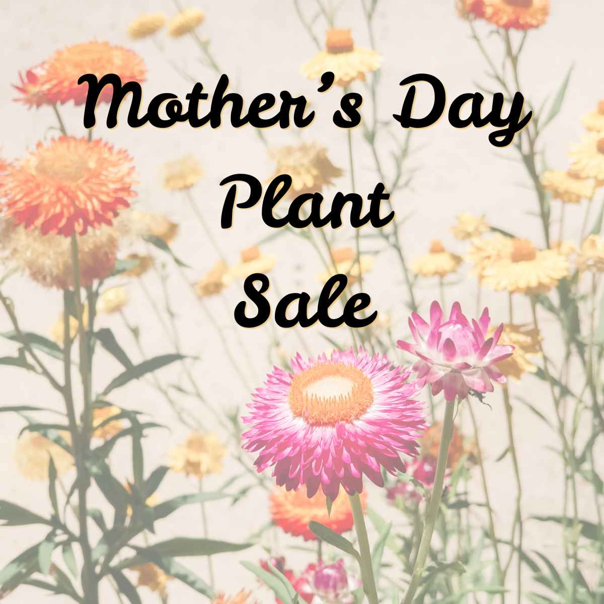 Mother’s Day Plant Sale